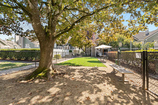 A tree with yellow leaves is in the foreground of a sunny park with a bench and a fence. at AVIA Lofts on Parkway, Washington , 98662
